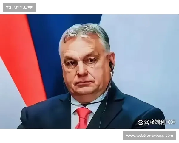 匈牙利意外中止会谈,德国表达强烈震惊与关切(匈牙利事情) 匈牙利意外中止会谈,德国表达强烈震惊与关切(匈牙利事情)